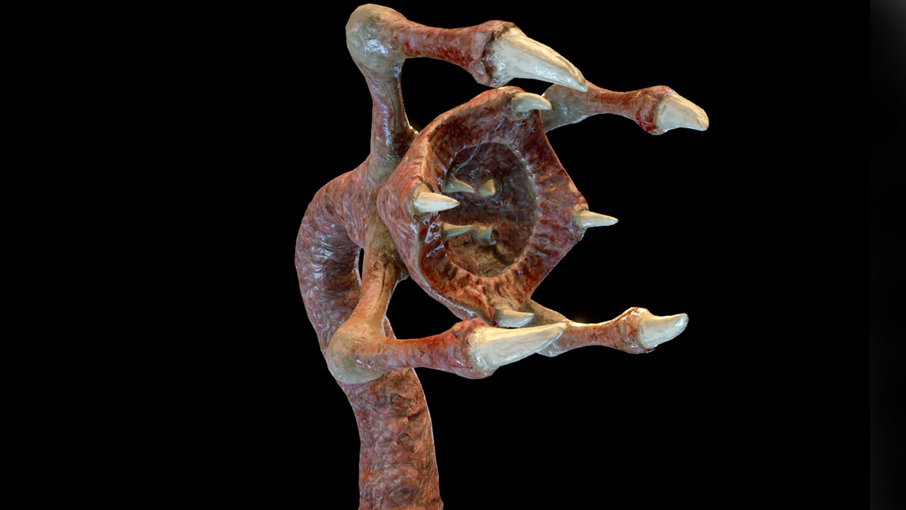 Meat Clawed Worm | Fab