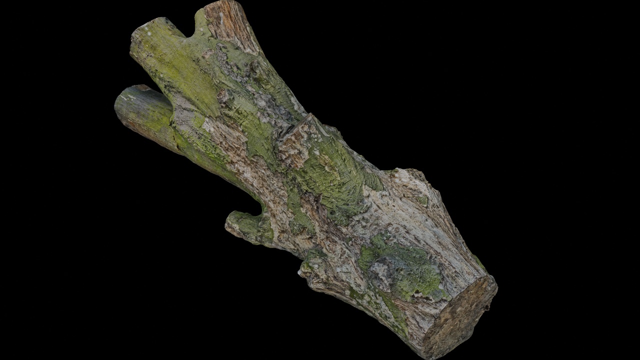 Media 1 for listing Rustic Mossy Tree Stump