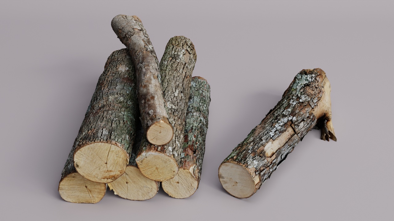 Media 1 for listing Wood Log Scan Pack
