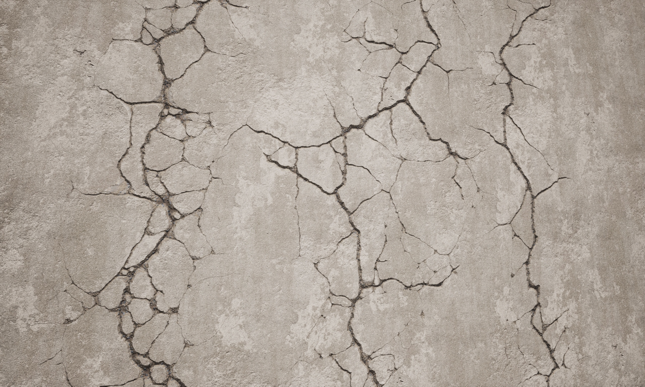 Media 1 for listing Crack Decals