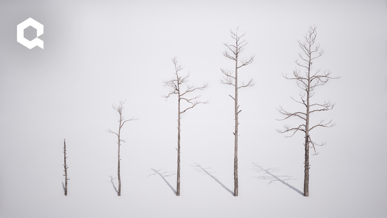 Media 1 for listing Megaplants: Dead Pine