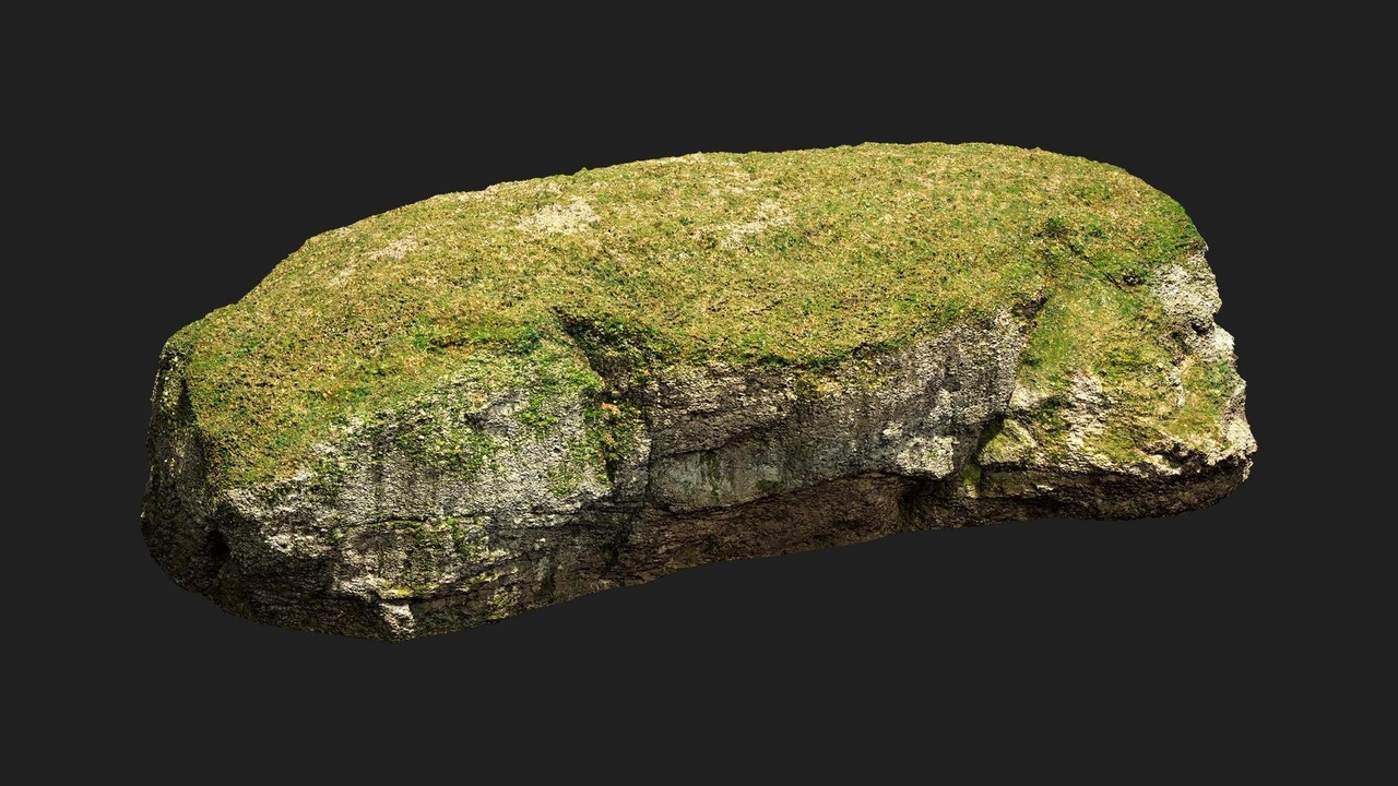 Media 1 for listing Forest European Broadleaf Cliff L 01