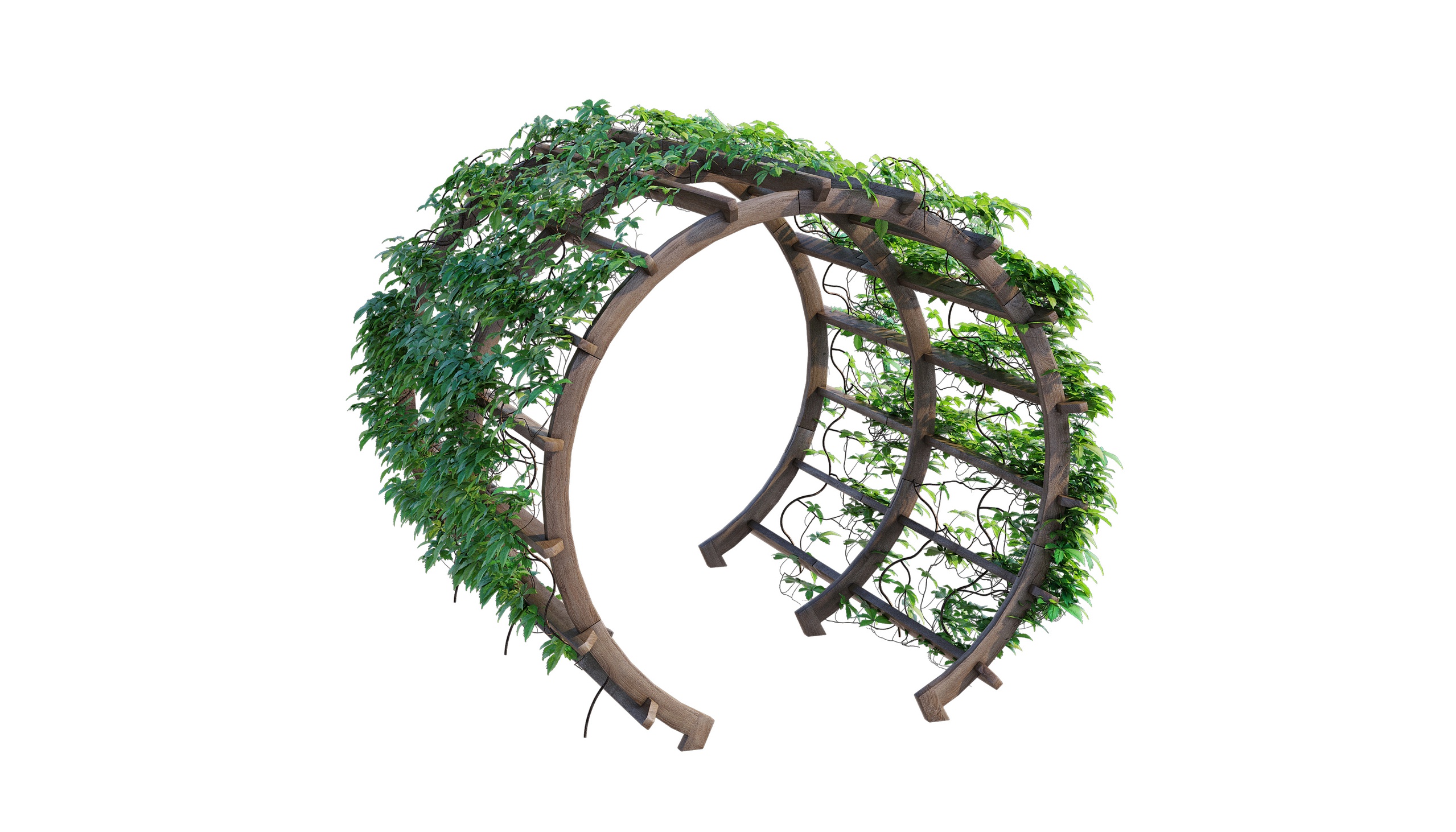 Media 1 for listing Moongate Garden Arch