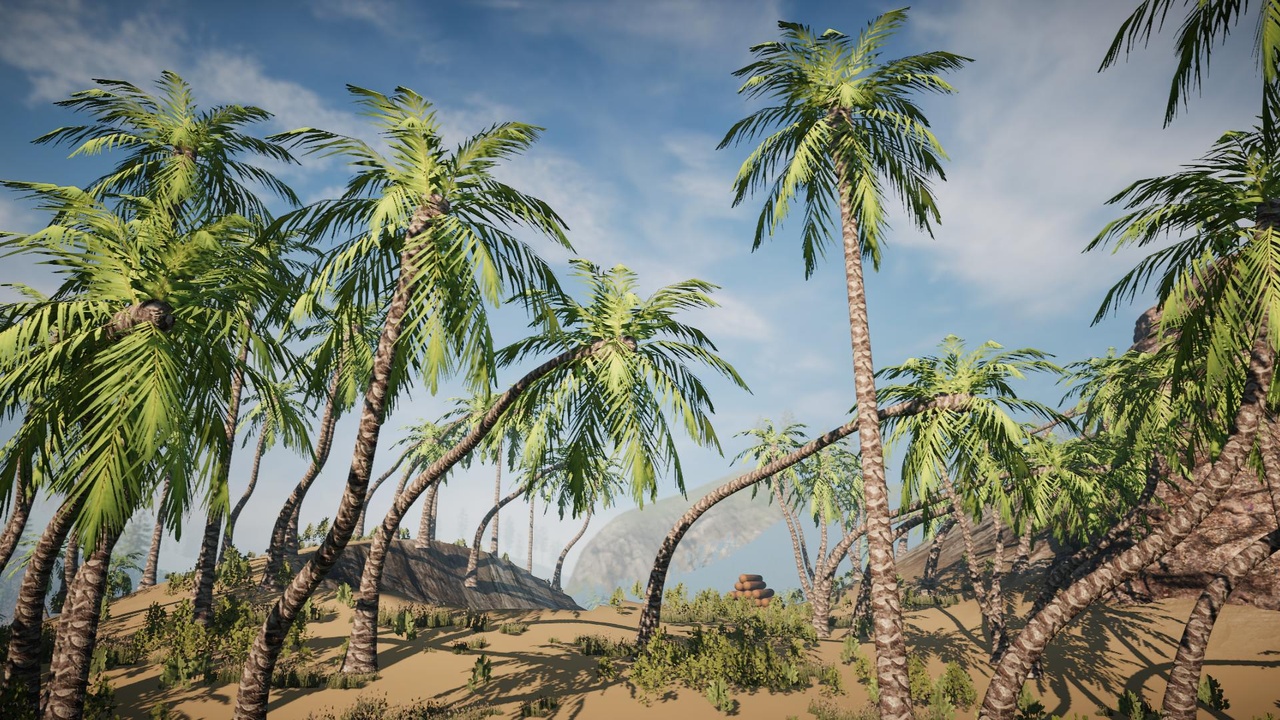 Media 1 for listing Desktop Palm Tree Bundle (PC/Console)