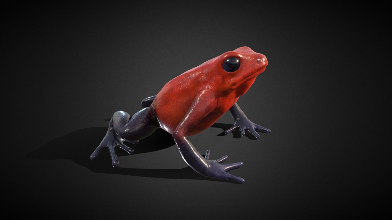 Media 1 for listing Strawberry Poison Dart Frog 3D, Low Poly