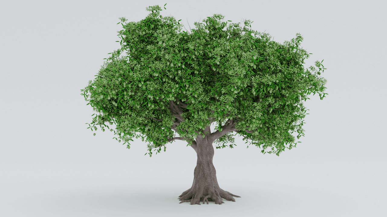 Media 1 for listing Mango Tree - Realistic 3D Model with Hanging Fruit