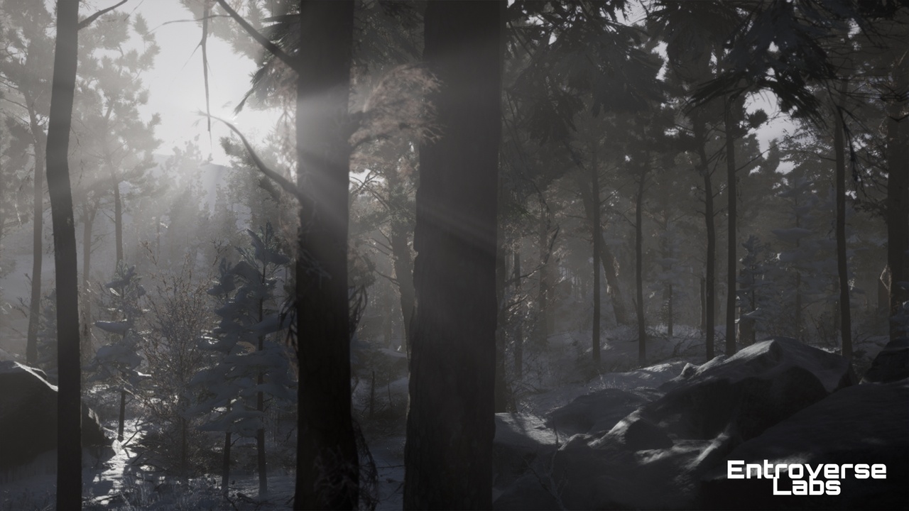 Media 1 for listing Taiga Biome Environment ( Boreal Forest , Winter Forest , Tundra Biome )