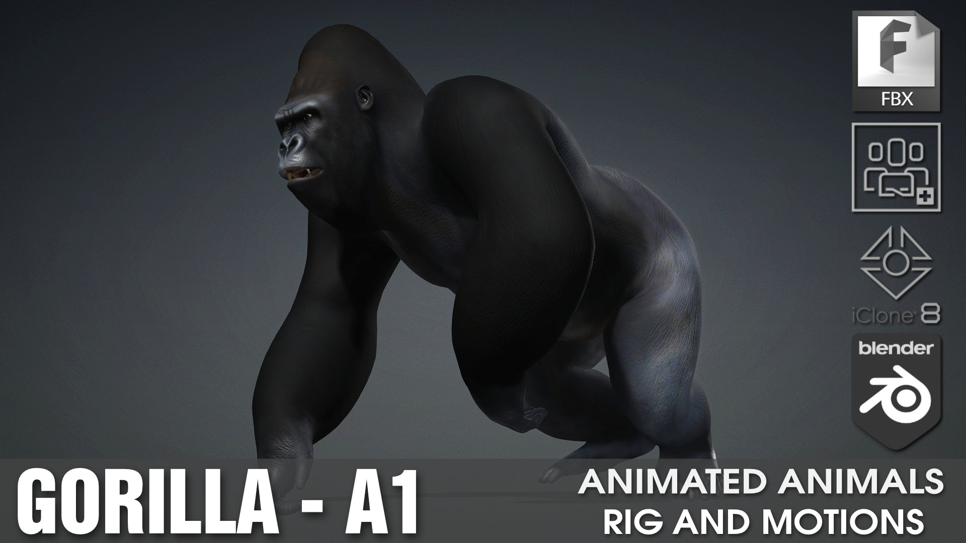 Gorilla_A1 | Fab