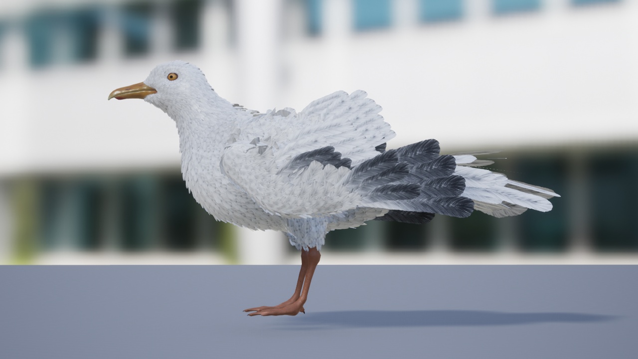 Media 1 for listing Seagull feathered