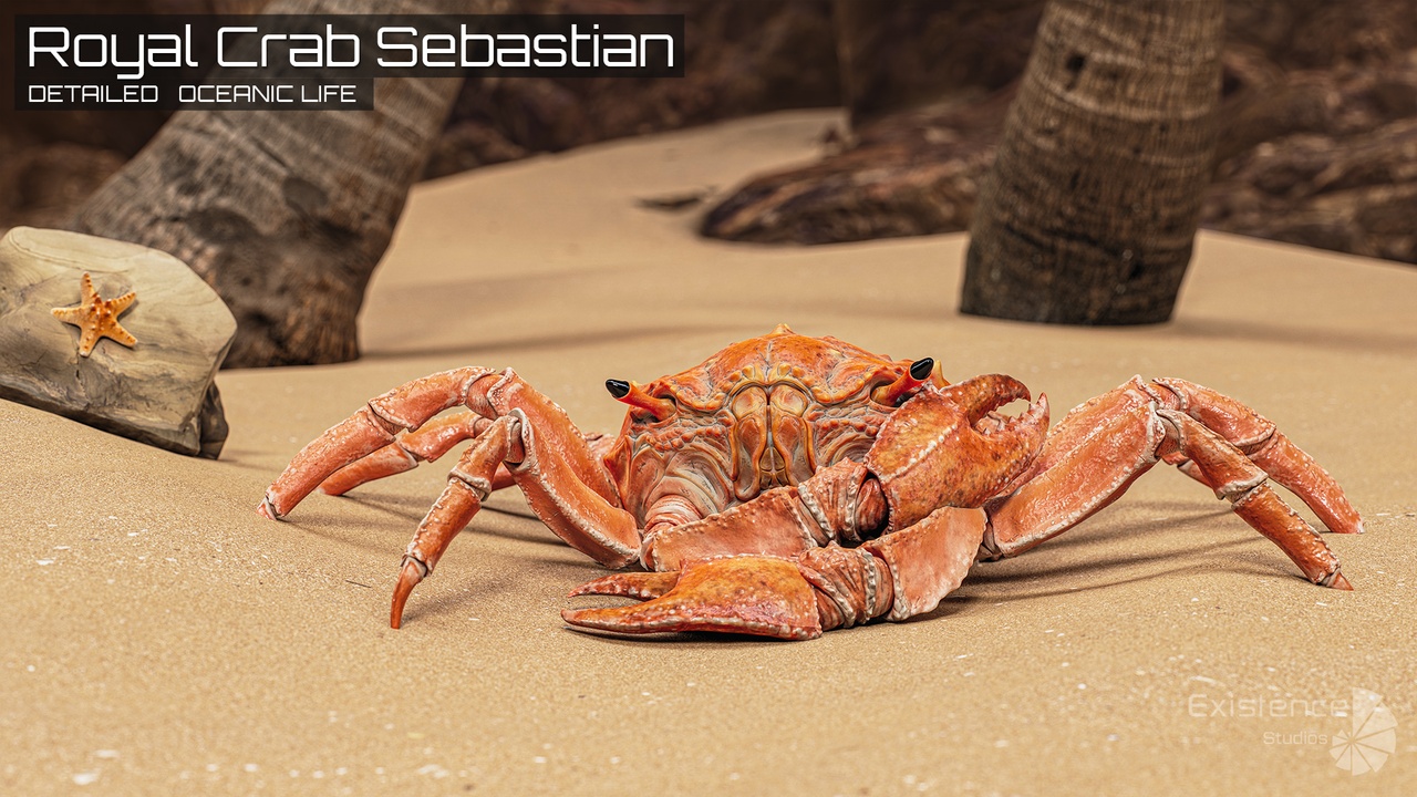 Media 1 for listing Royal Crab - King Sebastian - Rock Land Creature - Red Crustacean Monster- #18