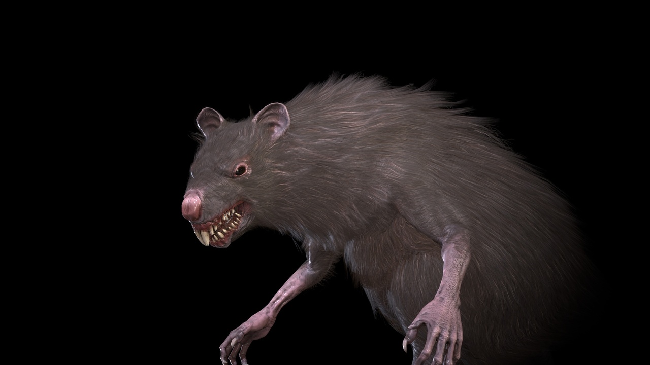 Media 1 for listing WereRat