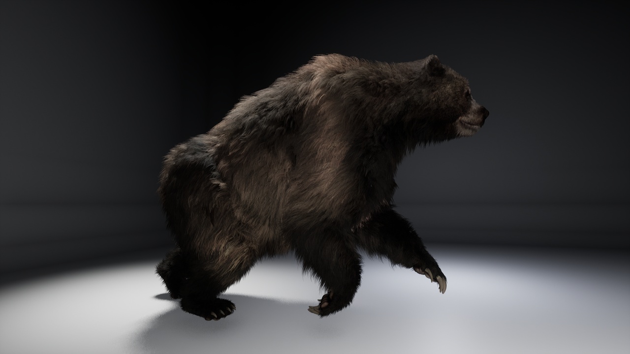 Media 1 for listing The Short-faced Bear