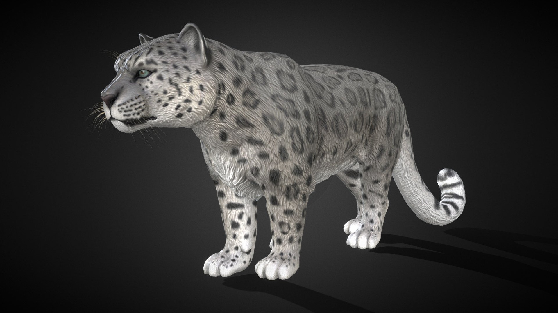 Snow leopard様おまとめ3点 Snow leopard | Fab