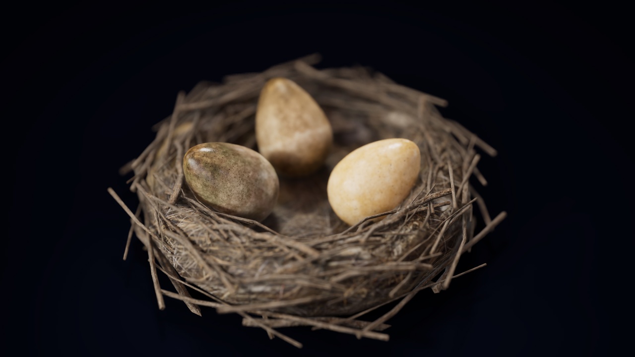 Media 1 for listing Egg Set with custom egg builder, modern eggs, dino eggs, ultimate material, nest