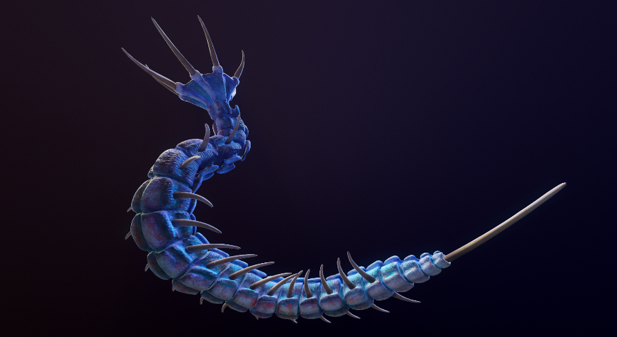 Giant Worm | Fab