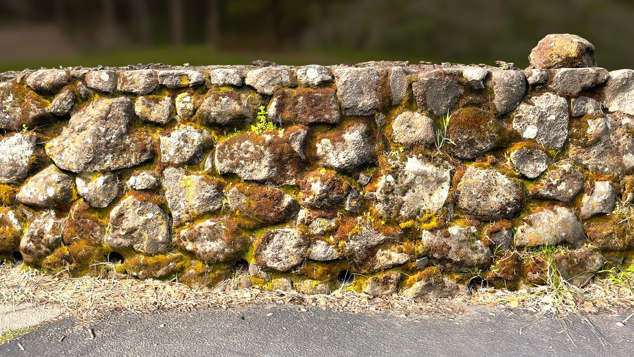 Media 1 for listing Stone Wall Covered in Lichen