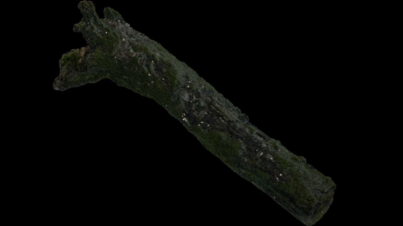 Media 1 for listing Moss-Covered Irregular Log