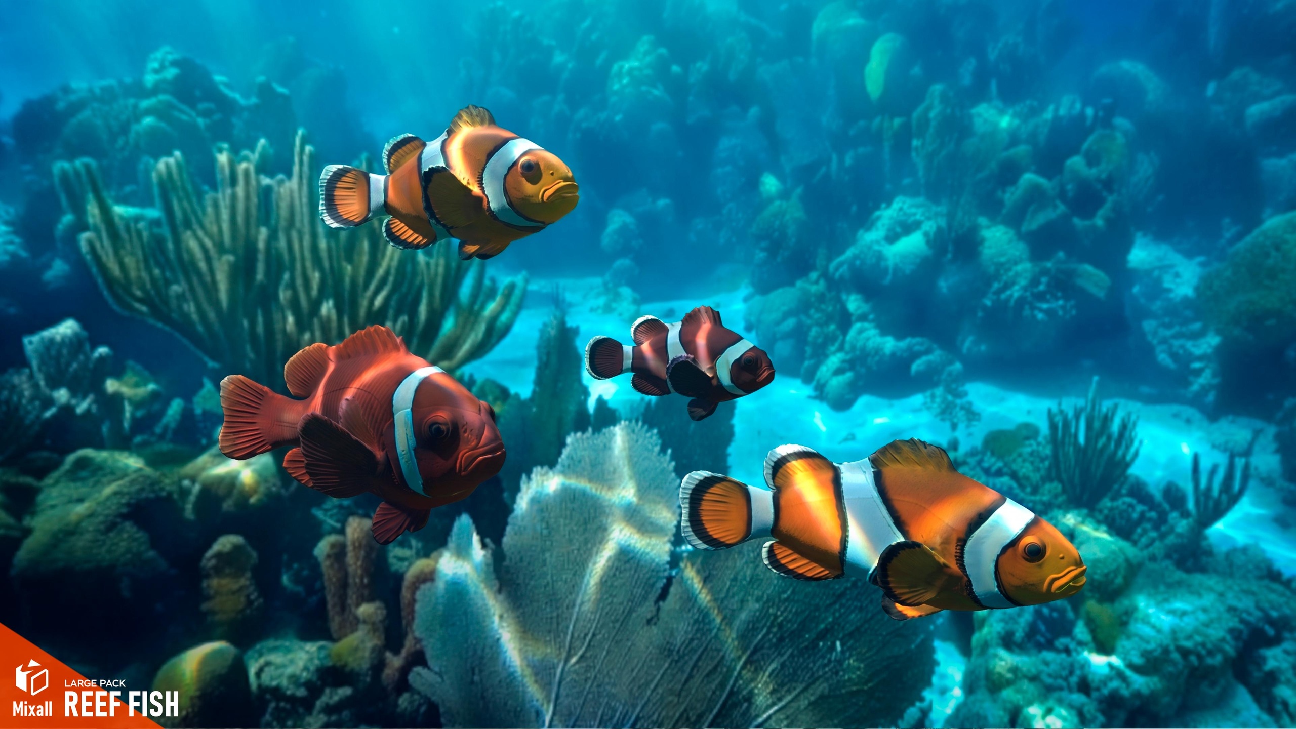 Media 1 for listing Reef fish - large pack