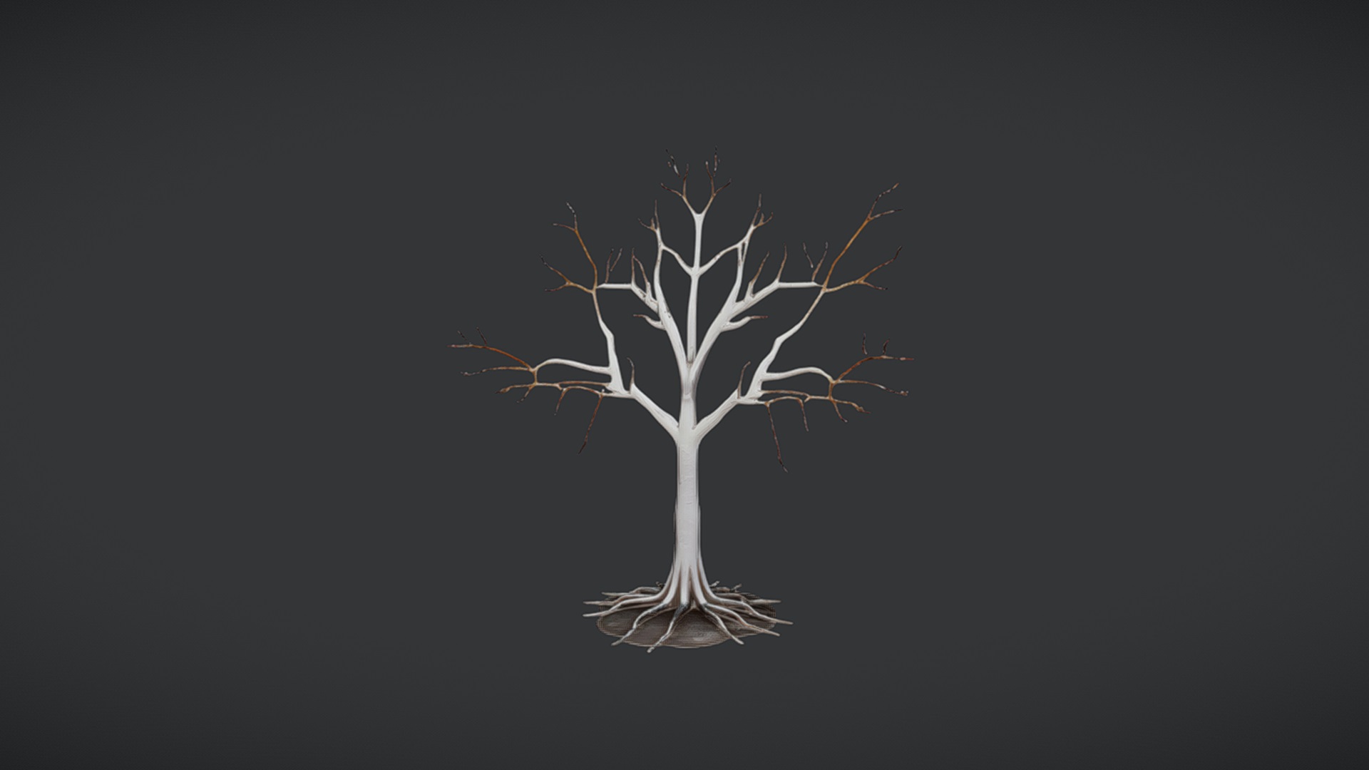 White Tree Rooth's A white tree with exposed roots | Fab