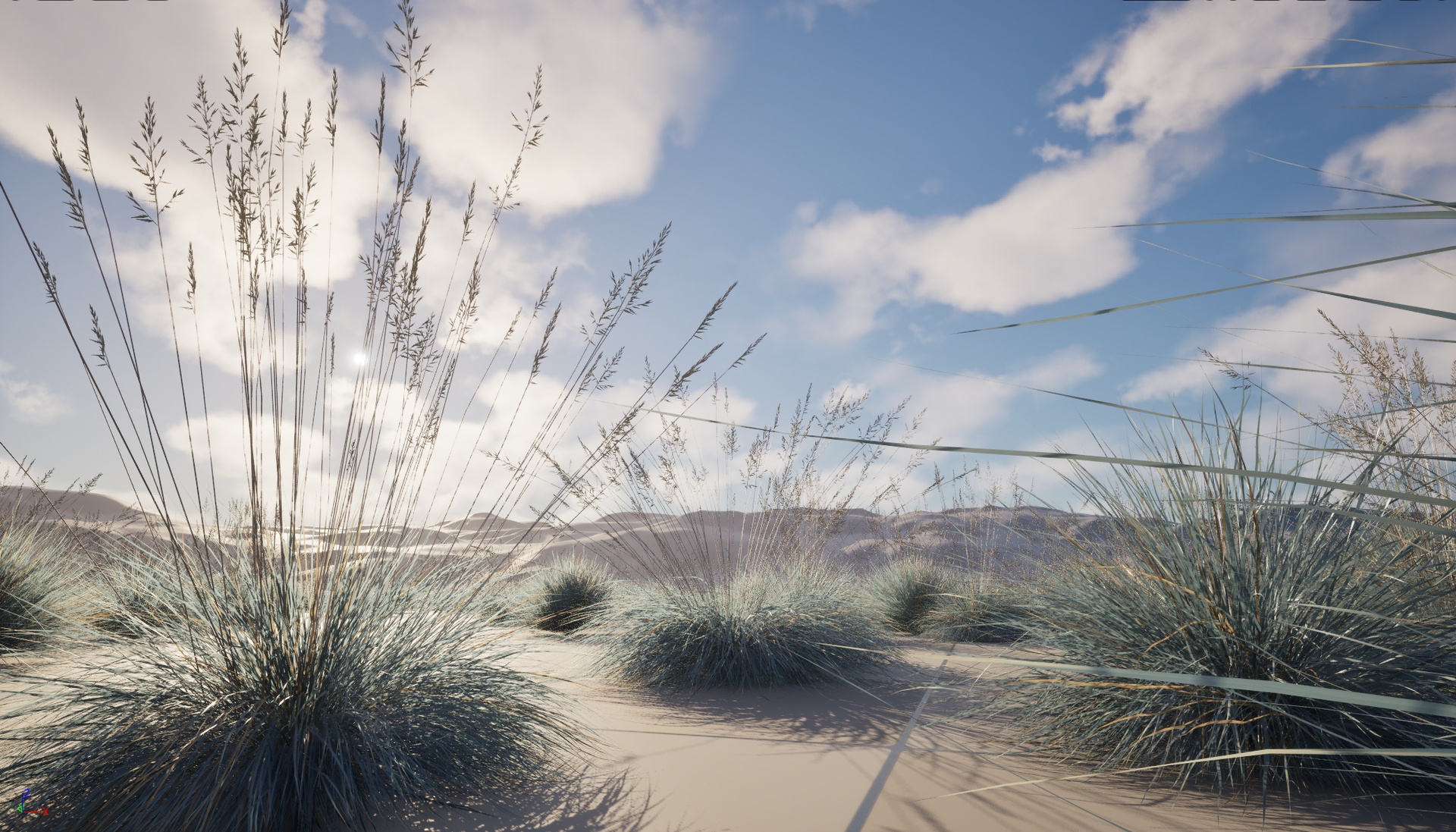 Media 1 for listing Nanite Plant Grass - Festuca glauca – Blue fescue
