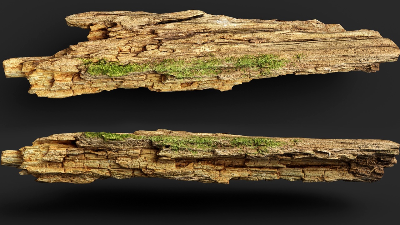 Media 1 for listing wood mossy debris broken tree part4 PBR photogrammetry