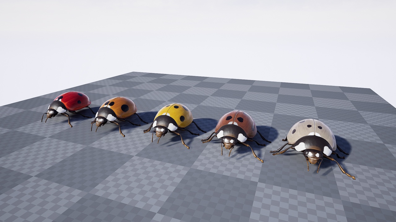 Media 1 for listing Ladybug