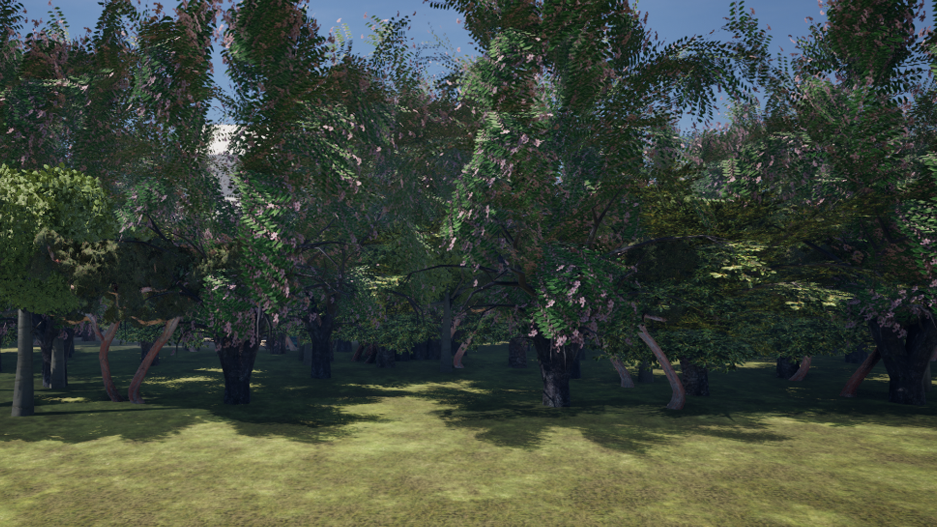 Mediterranean Trees for Italian Landscape | Fab