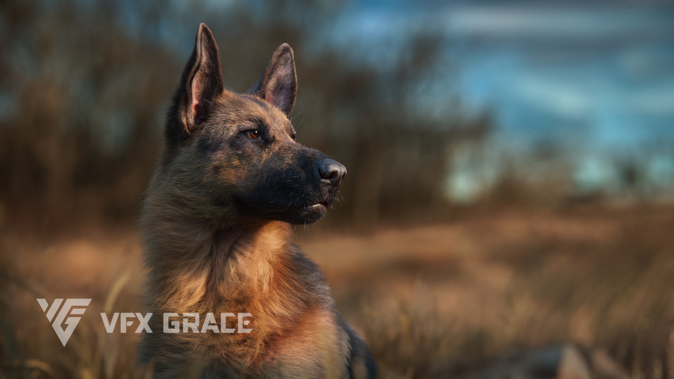 Media 1 for listing German Shepherd 3D Model - UE Character Asset