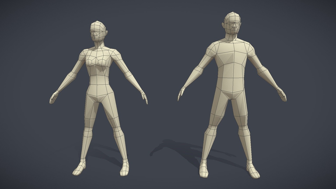 Media 1 for listing Base Mesh Pack - Lowpoly Male, Female ( Rigged )