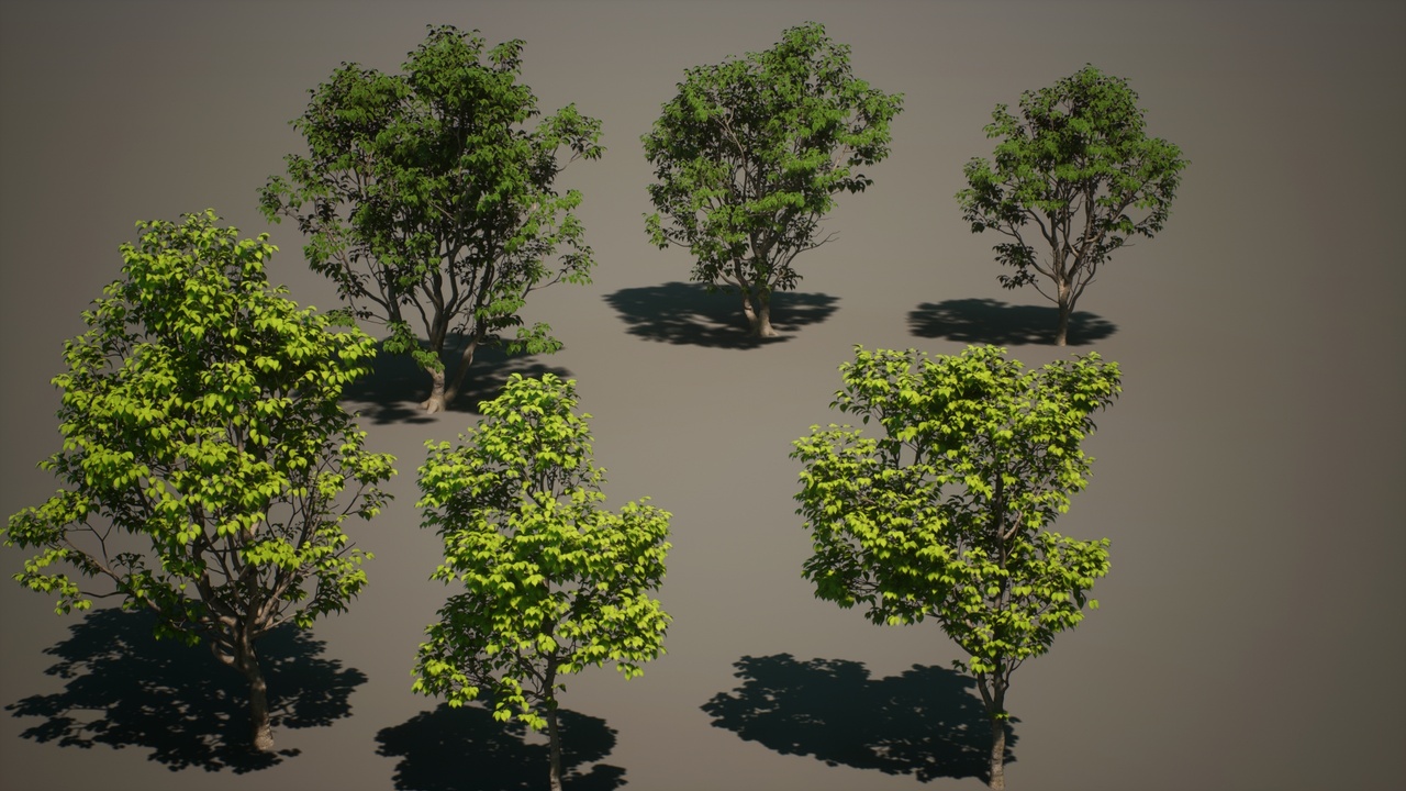 Media 1 for listing Various high-precision realistic trees v4