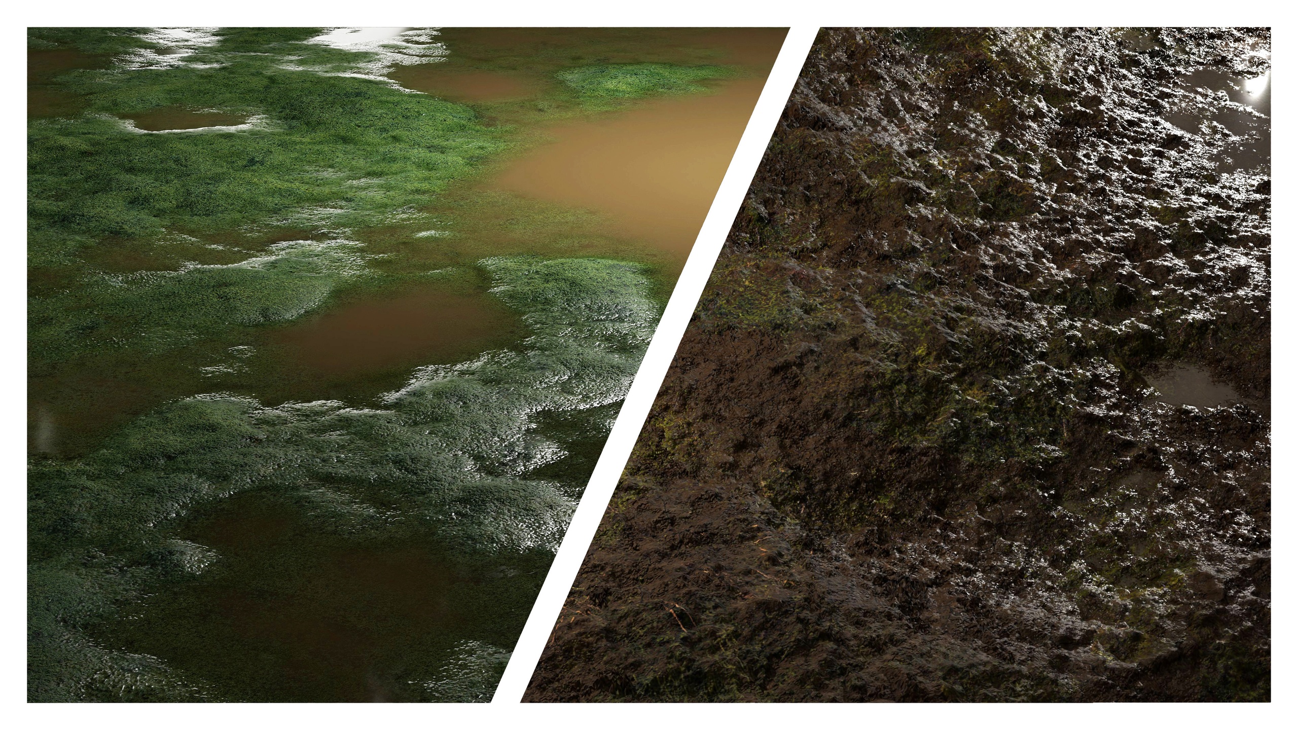 Media 1 for listing Marsh 8K PBR Texture Combo