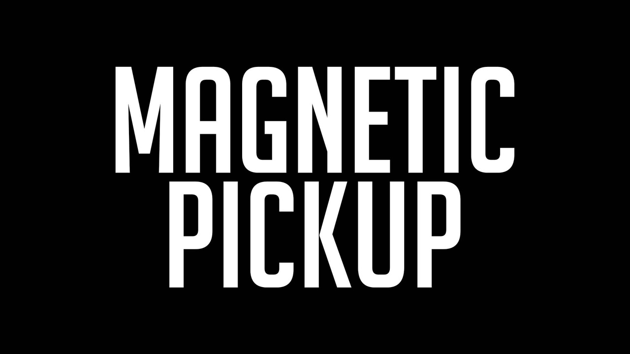 Media 1 for listing Magnetic Pickup
