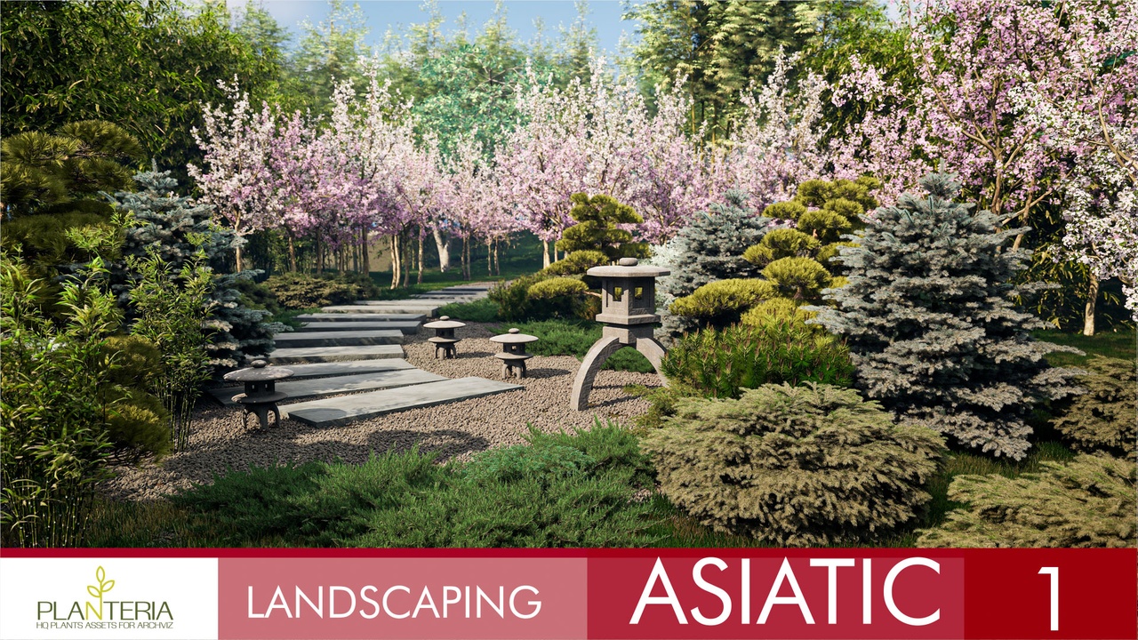 商品 Landscaping Asiatic 1 的媒体 1