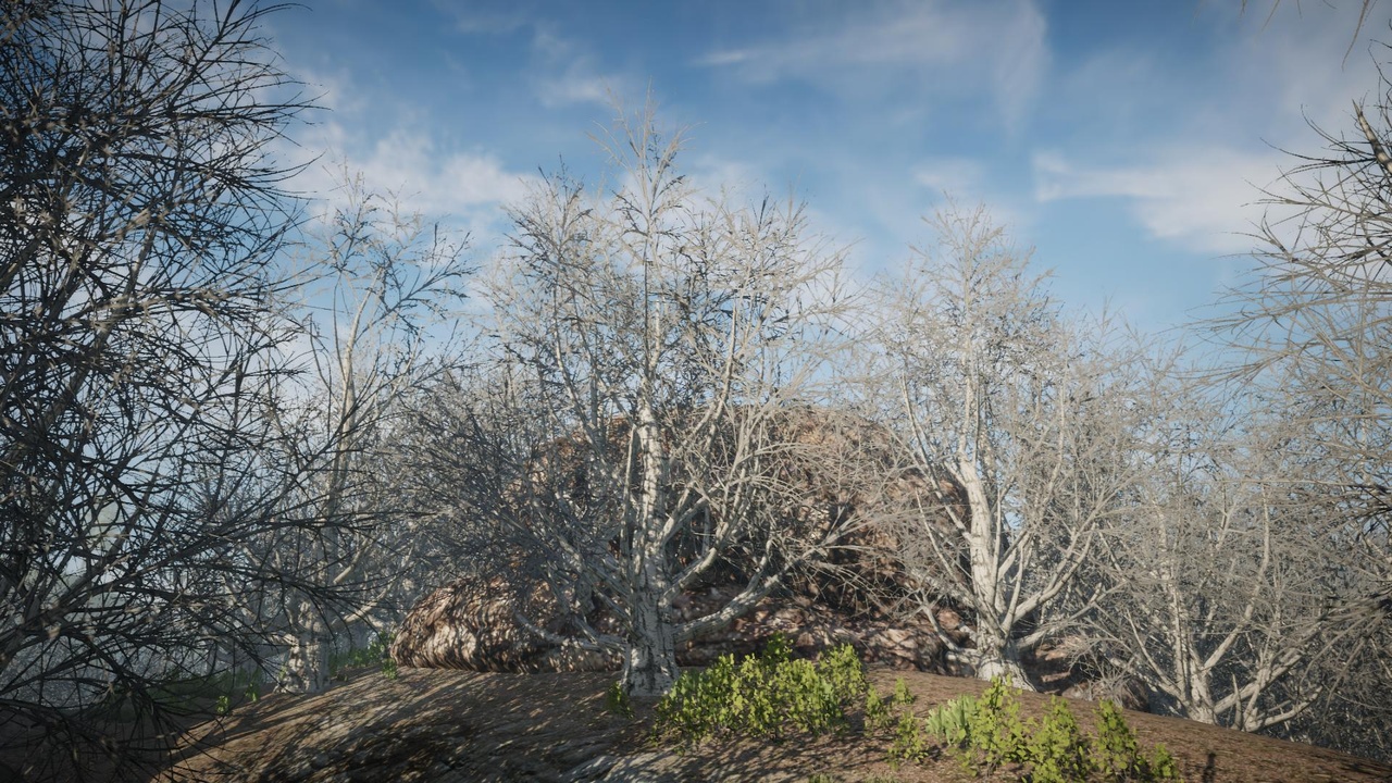 Media 1 for listing Desktop Winter Trees 14 (PC/Console)