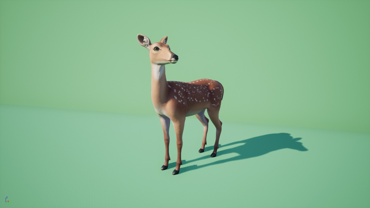 Media 1 for listing Deer