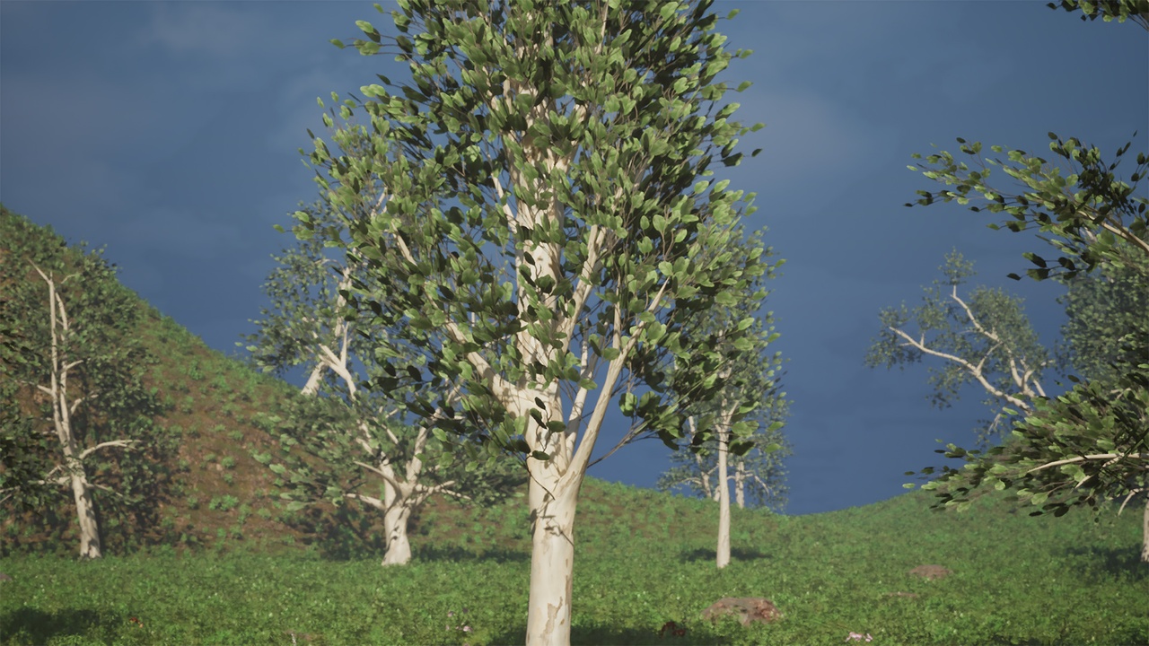Media 1 for listing Realistic Low Poly Tree Pack 30M