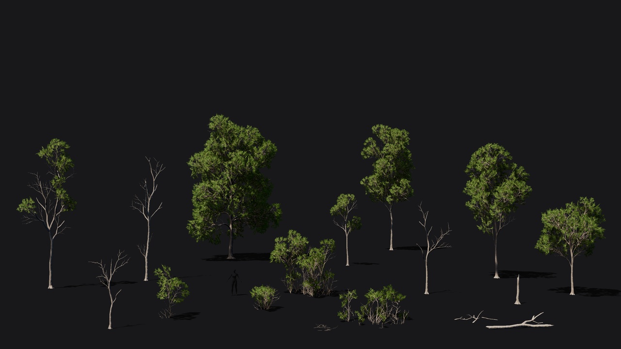 Media 1 for listing Ash tree game ready forest pack