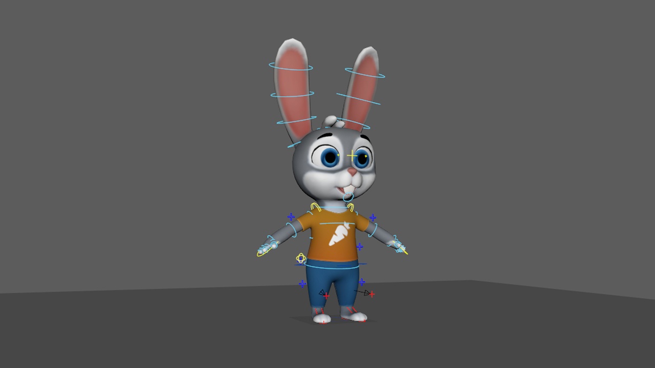 Media 1 for listing Bunny Rig