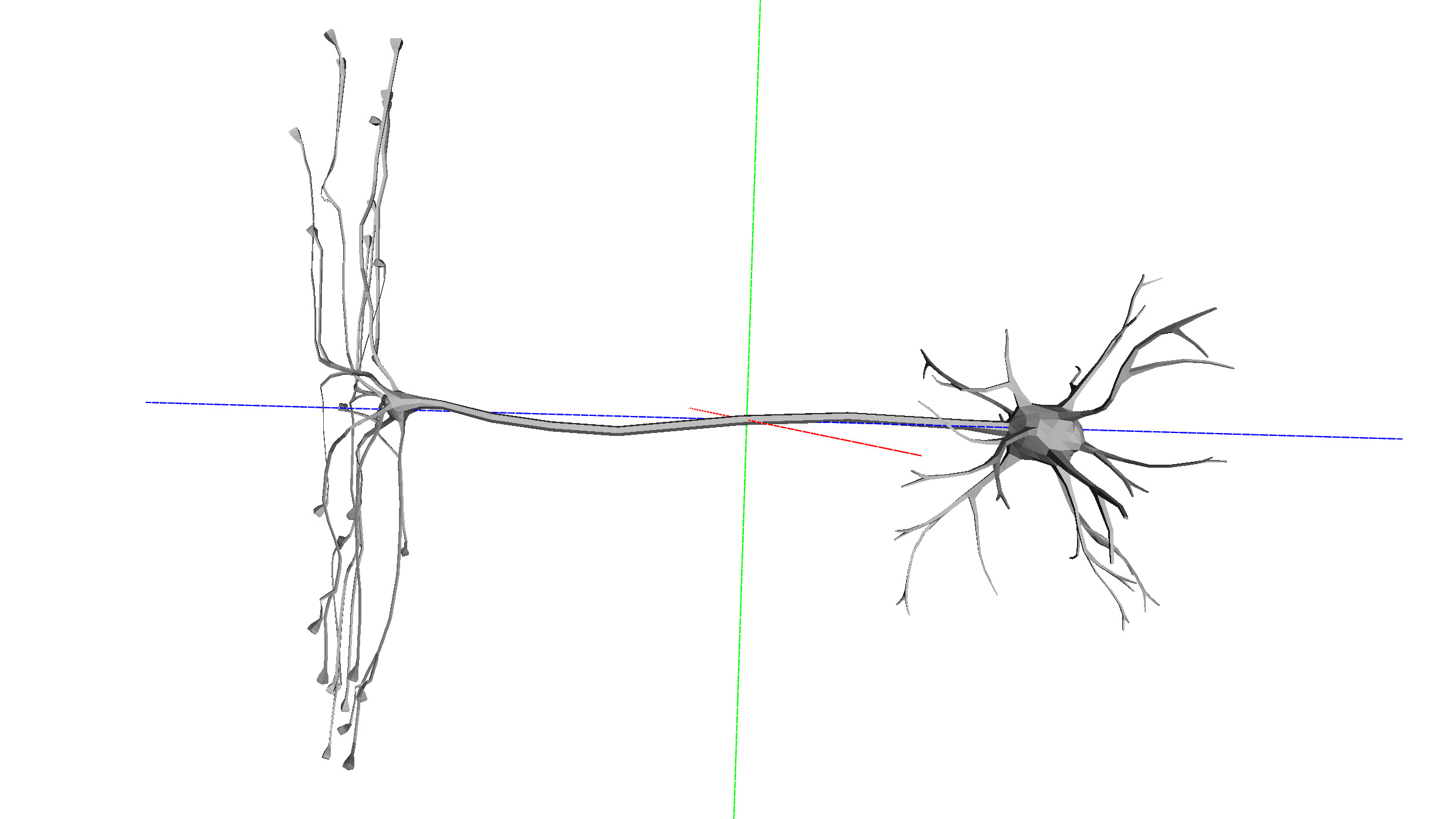 Neuron model | Fab