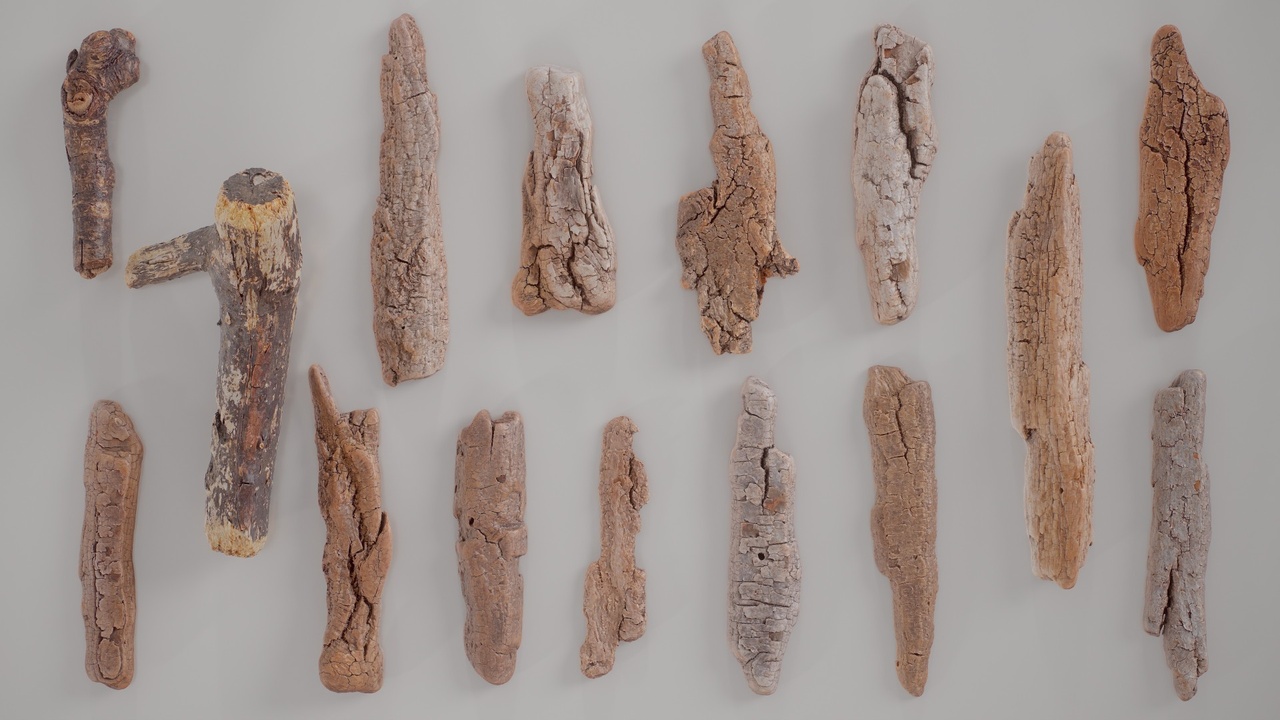 Media 1 for listing 15 3D Scanned Wood Large Collection
