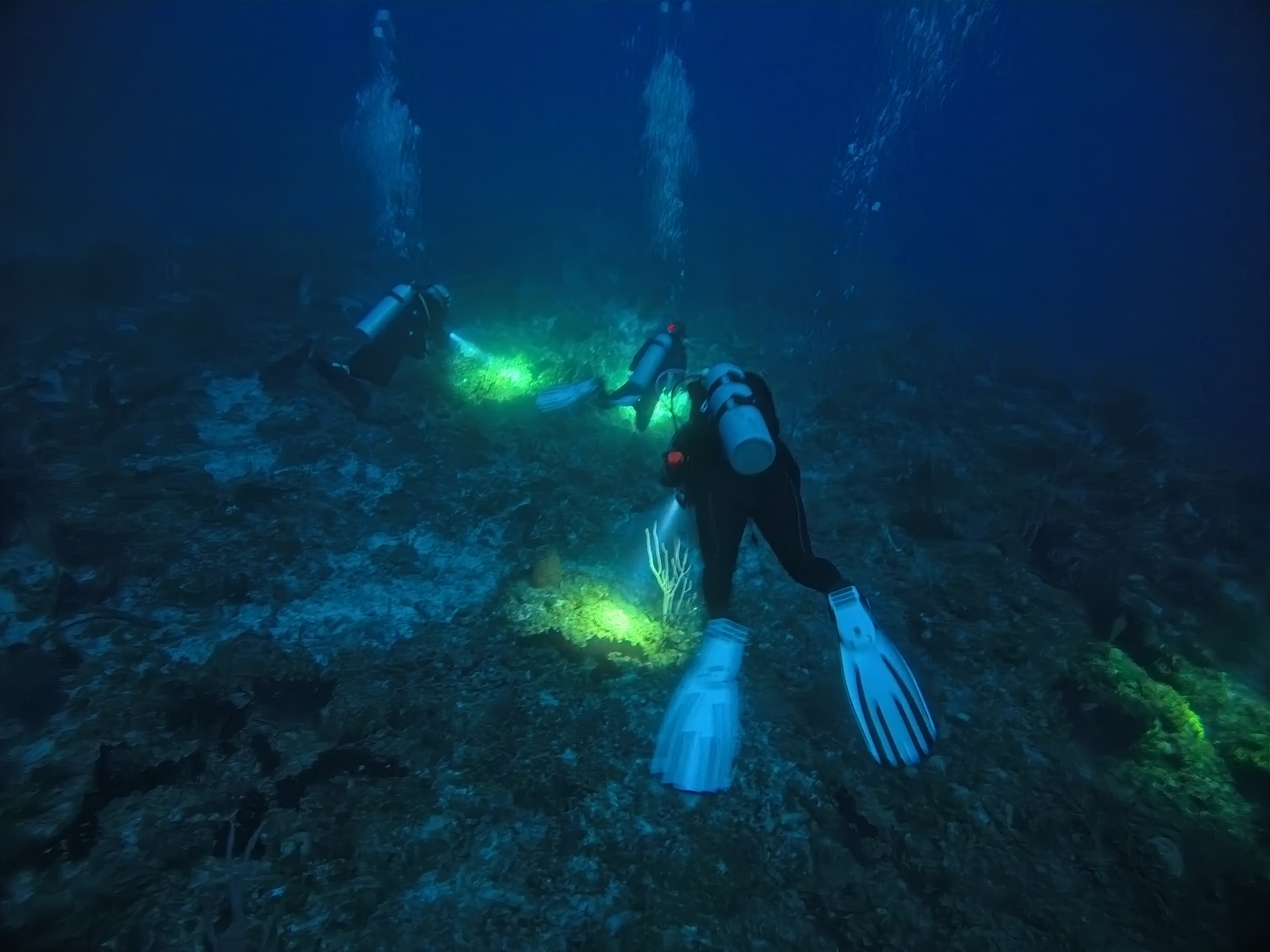 Media 1 for listing Diver Perspective