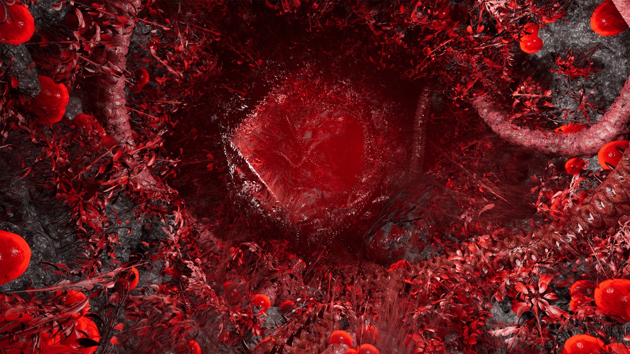 Media 1 for listing Tentacles