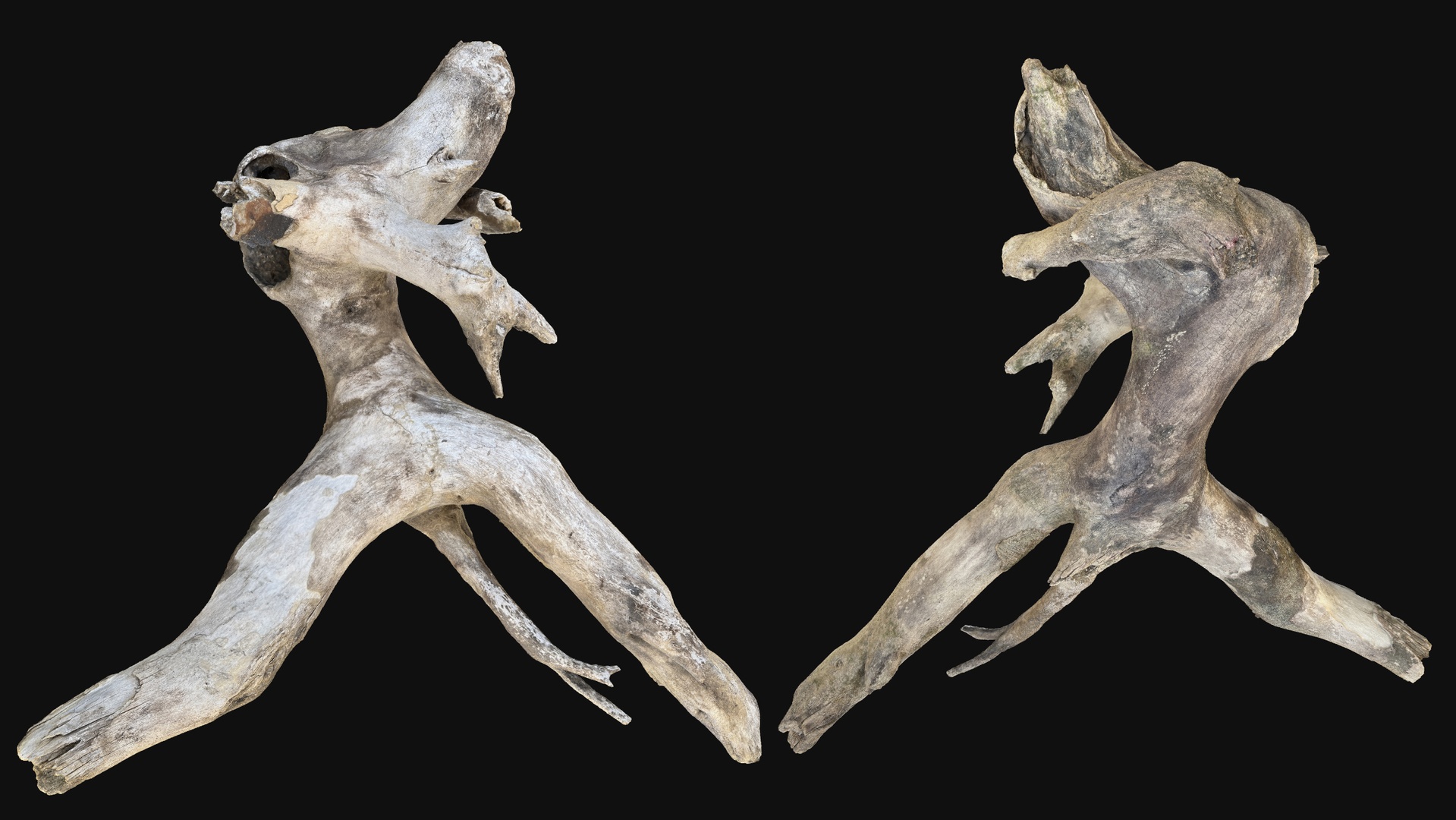 Media 1 for listing Human-shaped Tree Trunk Branch Wood 3D Scan in highpoly