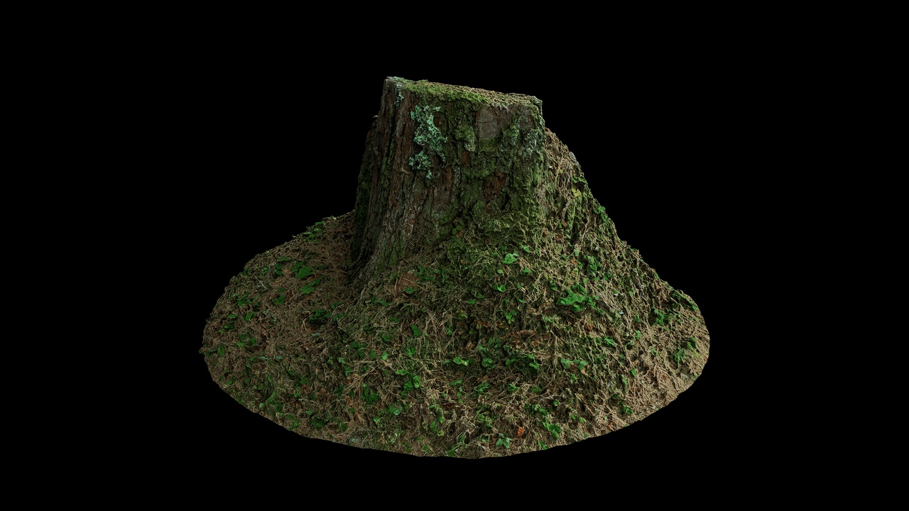 Media 1 for listing AD Stump 37