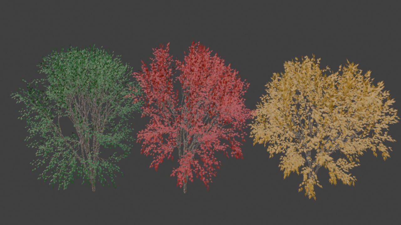 Media 1 for listing Maple Trees