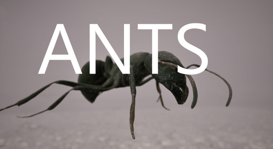 Ants | Fab