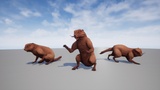 Asset image
