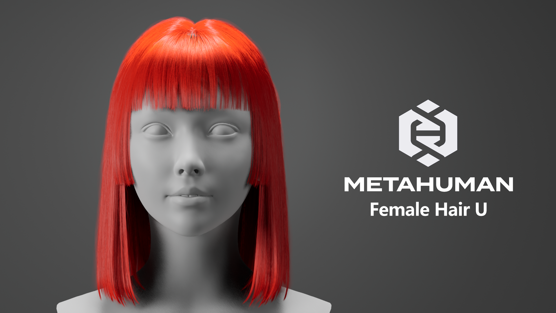 MetaHuman Female Hair U | Fab