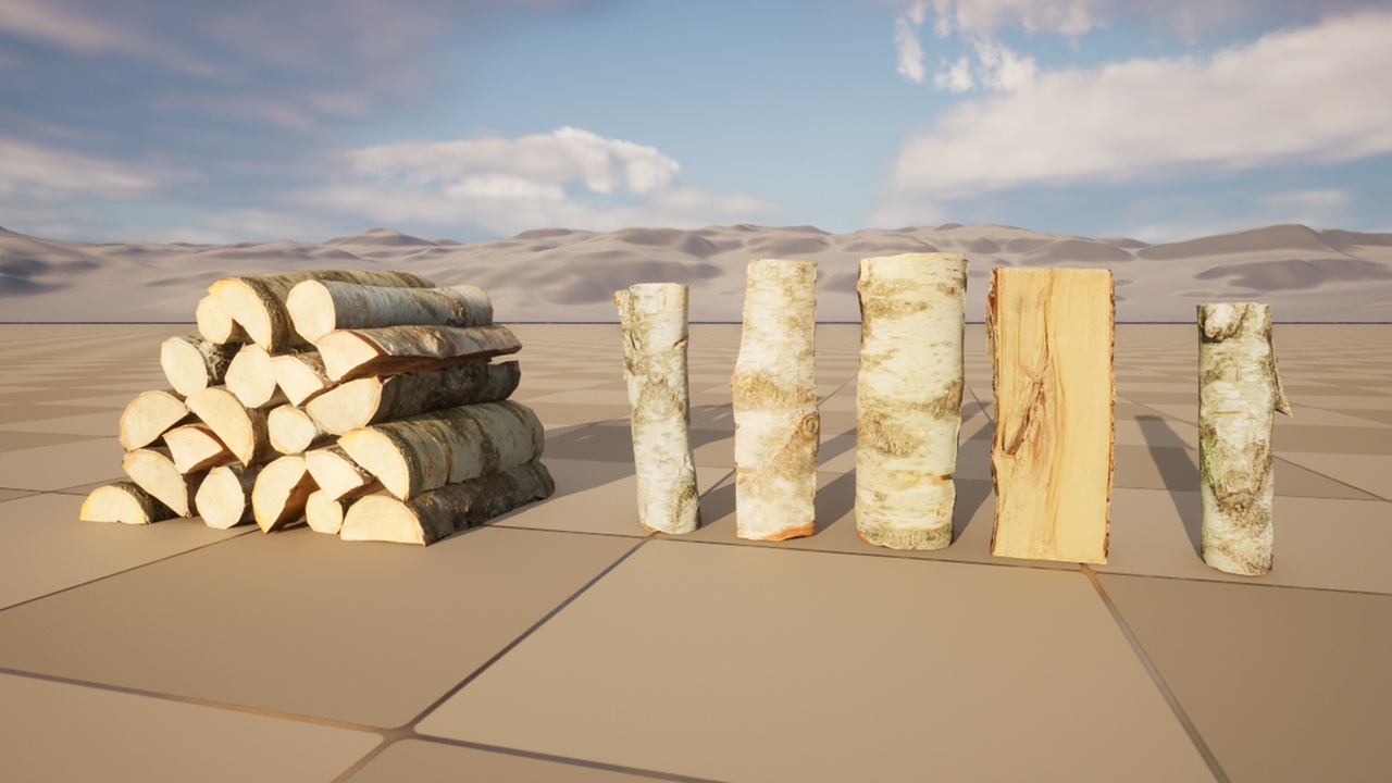 Media 1 for listing 5 birch logs (photogrammetry)