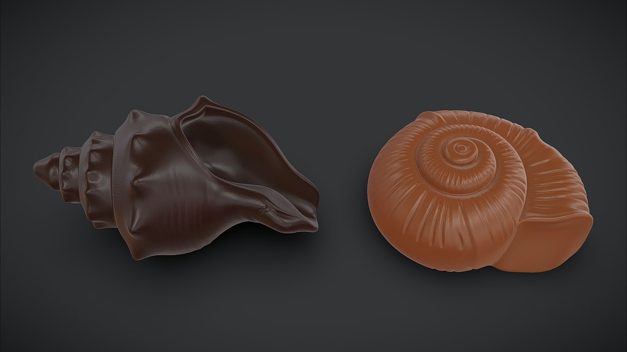 Media 1 for listing Shell-Shaped Chocolate Bundle - 2 Variations